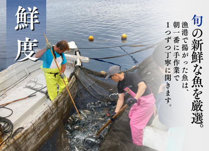 ひもの直送便セット【 干物 】