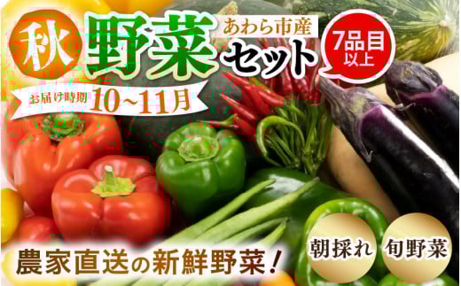 【先行予約】農家直送 秋野菜セット 1箱 7品目以上 《元気に育った新鮮野菜！》※2025年10月下旬以降発送 [aw028-a010]