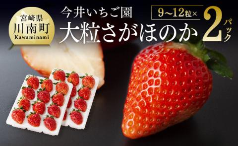 【令和9年発送】大粒さがほのか9~12粒入×2パック 【 国産 イチゴ 苺 果物 くだもの 期間限定 数量限定 】[B04603] 大粒さがほのか9~12粒入×2パック