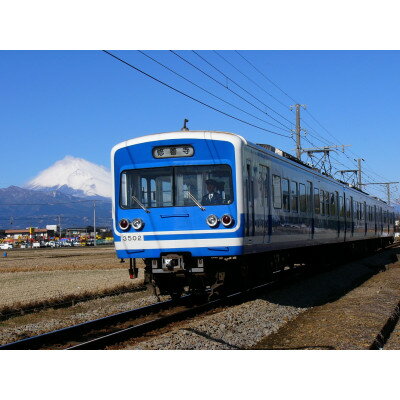 【ふるさと納税】伊豆箱根鉄道駿豆線(三島駅～修善寺駅)を走る普通電車のオリジナルつり革 (函南町:丹那牛乳)14日間【1695308】