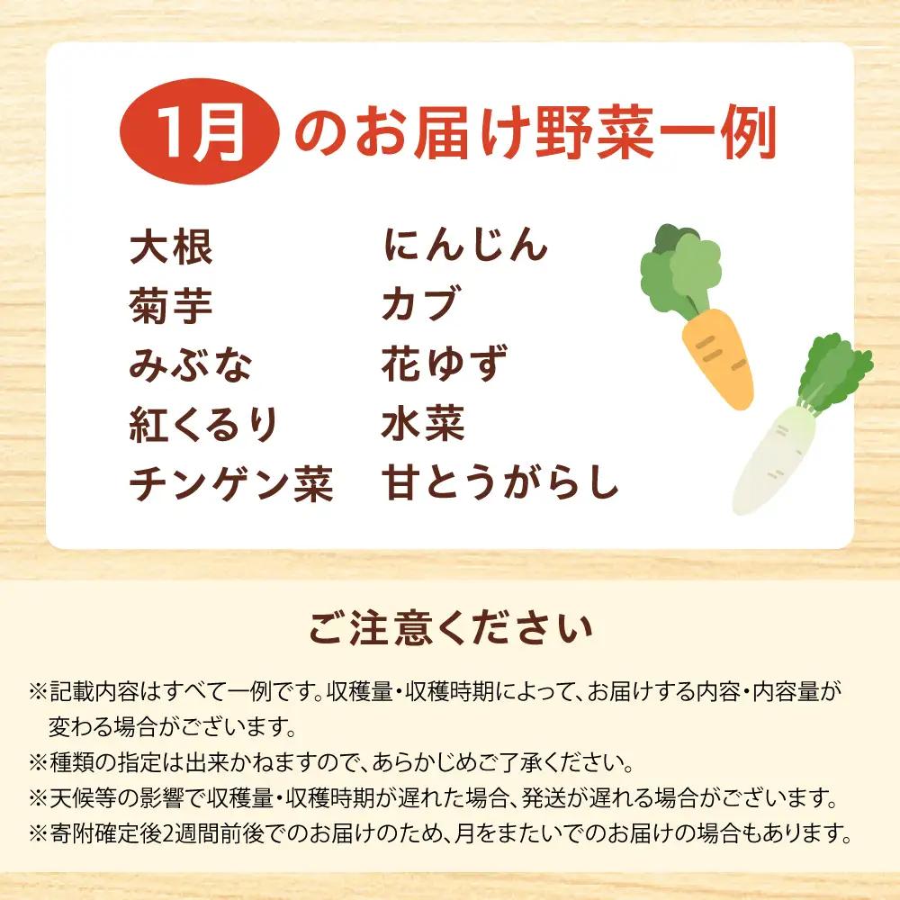 高槻野菜おまかせ詰め合わせセット 1月（10種〜15種）[AOCS007] 野菜セット