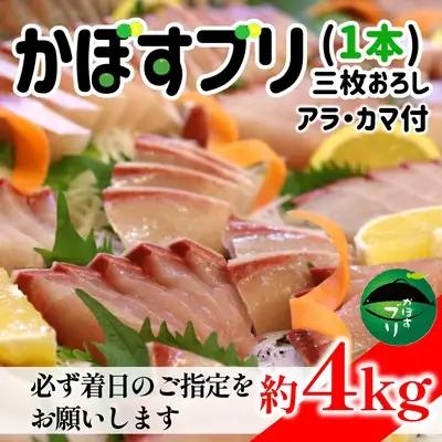 【先行予約】こんなブリ食べたことない！？「うすき産かぼすブリ」（1本）（約4kg弱）[冷蔵] 