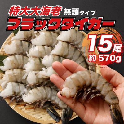 ふるさと納税 阪南市 特大 ブラックタイガー 無頭えび 15尾570g前後