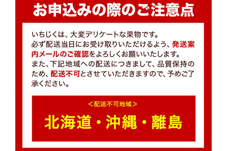 【和歌山県紀の川市産】新鮮いちじく約300g×4パック入り 紀の川市厳選館《2024年9月上旬-11月中旬頃出荷予定》和歌山県 紀の川市