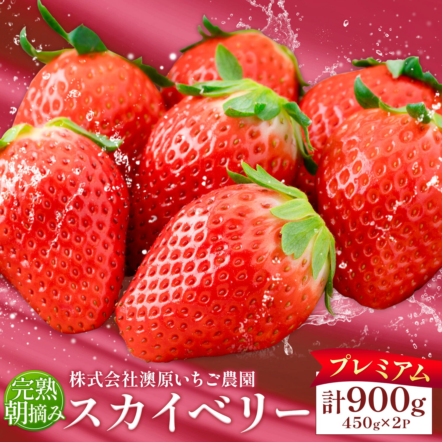 【ふるさと納税】【先行予約】完熟朝摘み スカイベリー プレミアム 2パック 約900g 株式会社澳原いちご農園《2027年1月上旬-5月中旬頃出荷》栃木県 野木町 イチゴ 苺 いちご スカイベリー 果物 フルーツ スイーツ【配送不可地域あり】(沖縄・離島)