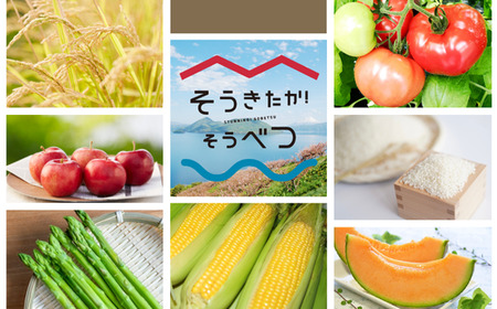 【令和7年産】【3ヶ月定期配送】（精米2kg）ホクレン喜ななつぼし 【 ふるさと納税 人気 おすすめ ランキング 北海道産 米 こめ 精米 白米 ご飯 ごはん ななつぼし 2kg 定期便 北海道 壮瞥