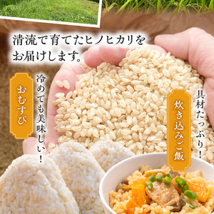 S150-004_天草方原（ほうばる）産　清流米　ヒノヒカリ　玄米5kg【先行受付】