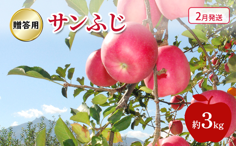 りんご 【 2月発送 】 糖度13度～贈答用 サンふじ 約 3kg