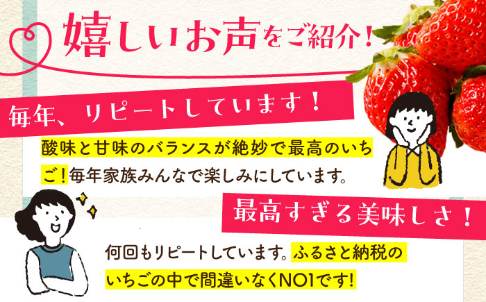 【1〜2月発送】王様のいちご いちごさん 400g【むらおか農園】[HAF013]