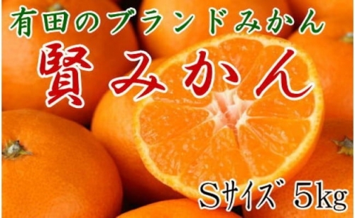 [秀品]有田のブランド「賢みかん」5kg(Sサイズ) 【2024年11月中旬頃より順次発送】