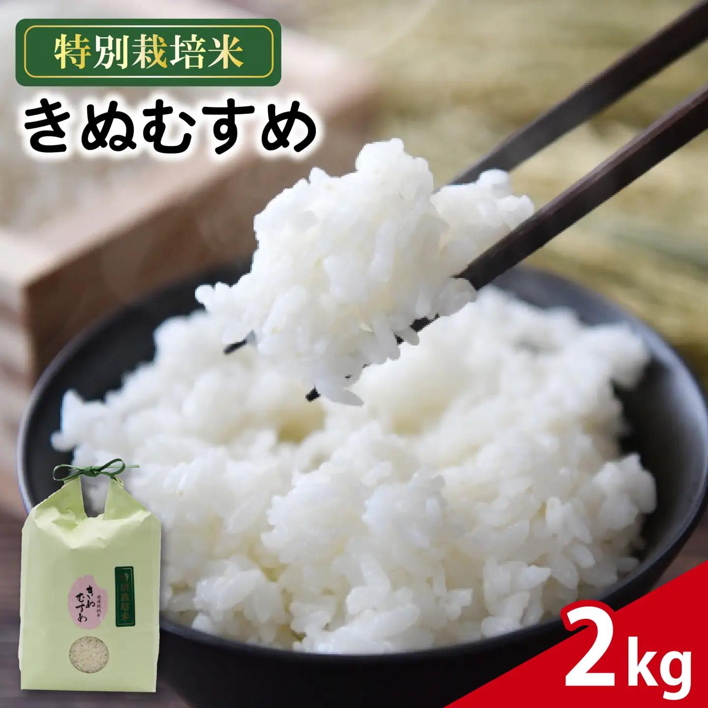 米 きぬむすめ 2kg 農家直送 特別栽培米 お米 精米 静岡県 藤枝市