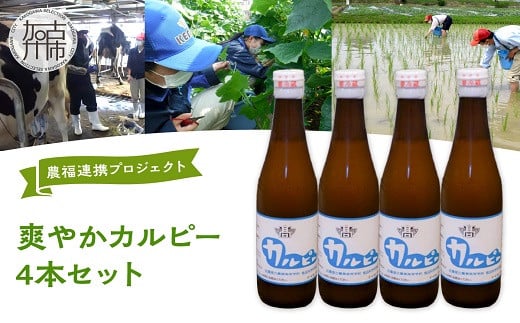 
「農(学)福連携プロジェクト」爽やか　カルピー4本セット《 飲料 乳酸菌飲料 冷蔵 セット 4本 》【2400I03105】
