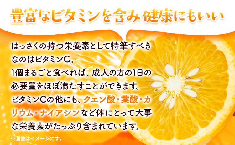 樹上完熟 ご家庭用 訳あり はっさく 八朔 みかん 10kg ＋250g (傷み補償分) 池田鹿蔵農園 @日高町《4月上旬-5月末頃出荷》和歌山県 日高町 送料無料 はっさくみかん 家庭用 光センサー