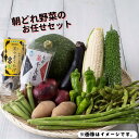 【ふるさと納税】朝採れ岩美の野菜おまかせセット｜鳥取県 岩美町 野菜 詰合せ 新鮮 セット 朝どれ やさい【32001】