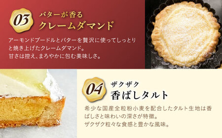 【全6回定期便】 アップルキャラメルチーズタルト(18cm)【心優　－Cotoyu Sweets－】[KAA555]