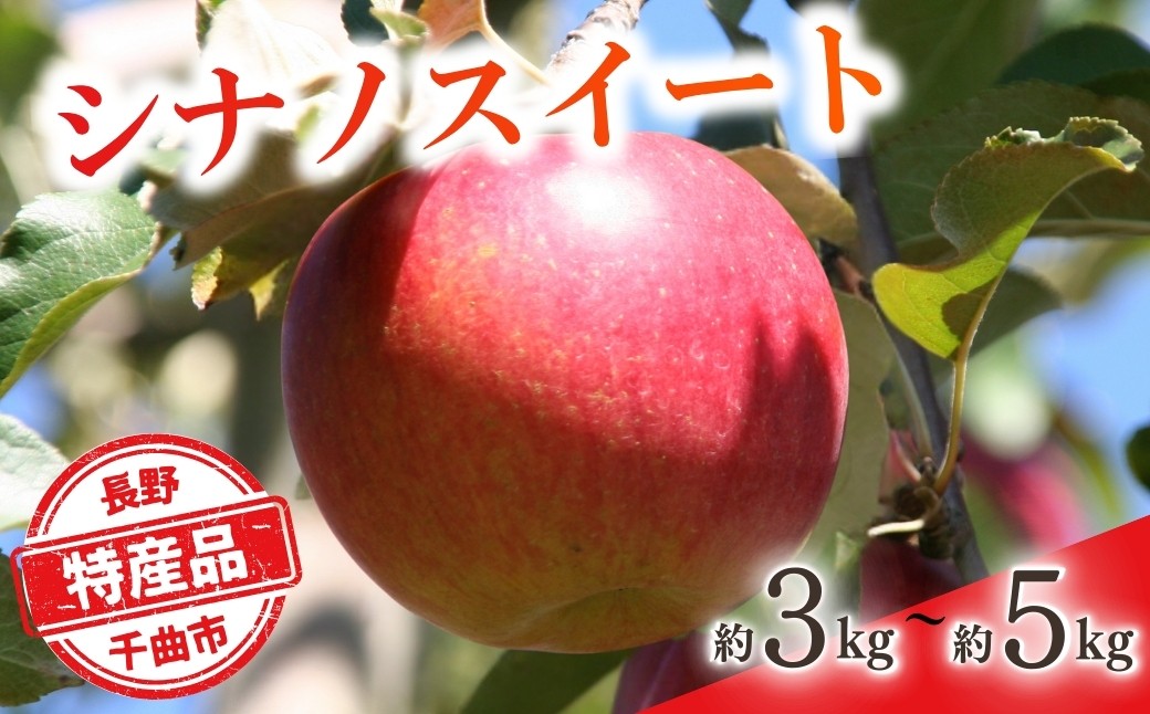 
                  【2026年先行予約】りんご シナノスイート(長野県オリジナル品種) 約3kg / 約5kg | りんご 林檎 リンゴ 信州りんご 長野県 千曲市
                