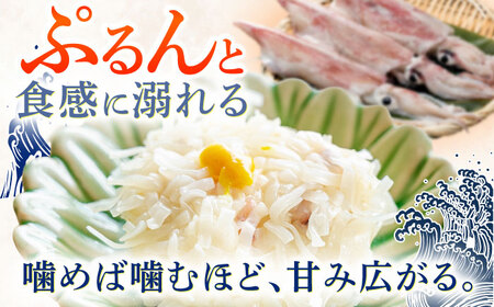 いかしゅうまい化粧箱入り8個入り×4箱 / いか イカ しゅうまい シュウマイ 手土産 / 佐賀県[41AECT002]