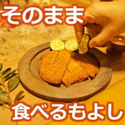 ふるさと納税 小松島市 〇産蒲鉾 阿波 小松島名産 フィッシュカツ 詰合せ 30枚　練り物 |  | 01