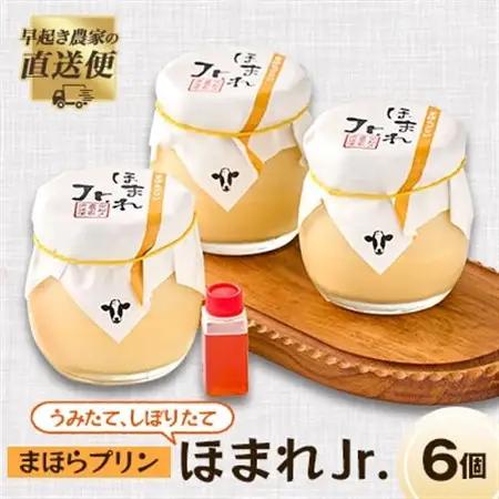 うみたて、しぼりたてまほらプリン ほまれJr【配送不可地域：離島】【1033448】