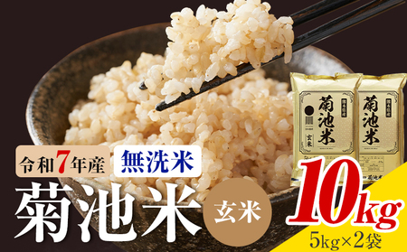 令和7年産 熊本県産 菊池米 無洗米 玄米 10kg 1袋5kg 株式会社くまもとごはん 《30日以内に出荷予定(土日祝除く)》米 お米 令和7年産 九州産 熊本県産  送料無料