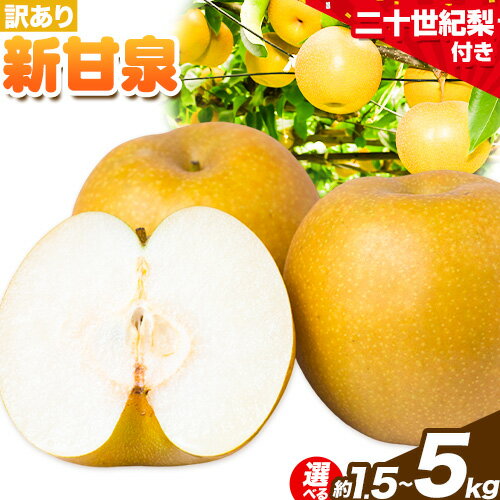 【ふるさと納税】【2025年先行予約】訳あり 新甘泉 選べる内容量 約1.5kg (2-5玉) 約3kg (4-10玉) 約5kg (8-16玉) 2L-6Lサイズ《2025年8月下旬-10月上旬頃出荷》新甘泉 梨 訳あり ご家庭用 鳥取県 八頭町 なし 果物 フルーツ 特産品 送料無料 果汁 デザート 八頭