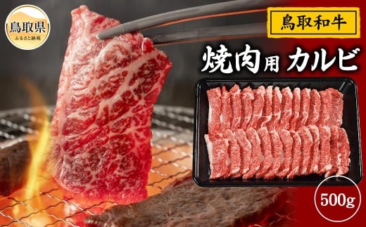 鳥取和牛 焼肉用 カルビ 500g_T2600362