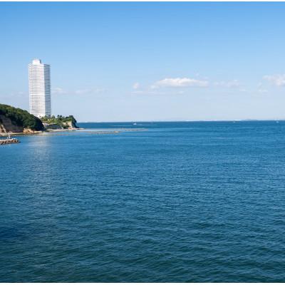 ふるさと納税 南知多町 いわし丸干し 24尾(8尾×3パック) 冷凍 小分け カネ成の金鯱いわし 干物 |  | 03