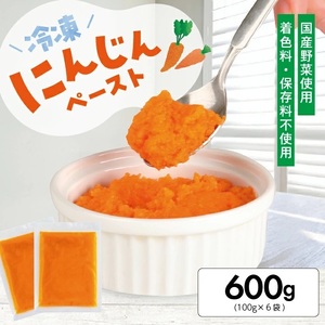 冷凍にんじんペースト600g(100g×6袋)  冷凍便 ※離島発送不可 冷凍 にんじん ニンジン 人参 野菜 野菜ペースト 離乳食 介護食 小分け お菓子作り ゆざ食彩工房 遊佐町 庄内 東北 [1176NN600G]