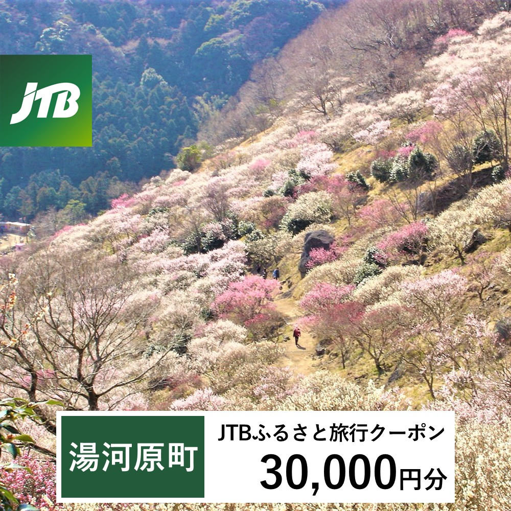 【湯河原町】JTBふるさと旅行クーポン（30,000円分）有効期間3年（Eメール発行）｜旅行 トラベル 予約 国内旅行 JTB 宿泊 観光 体験 旅行券 宿泊券 旅行予約 温泉 ホテル 旅館 チケット 子供 子連れ カップル 家族 人気 おすすめ 旅行クーポン 店頭 オンライン ネット予約 電話 有効期間3年