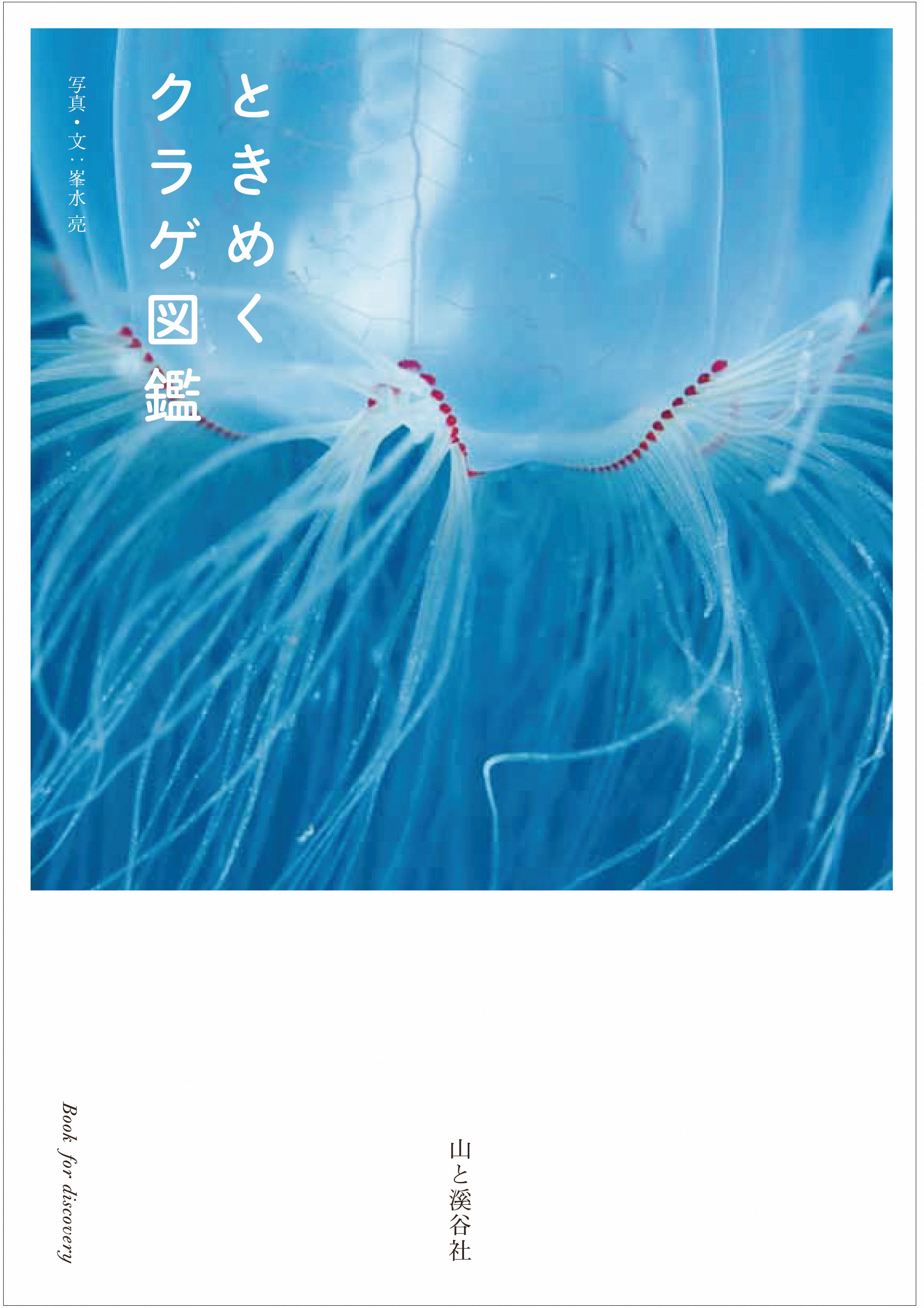 『ときめくクラゲ図鑑』