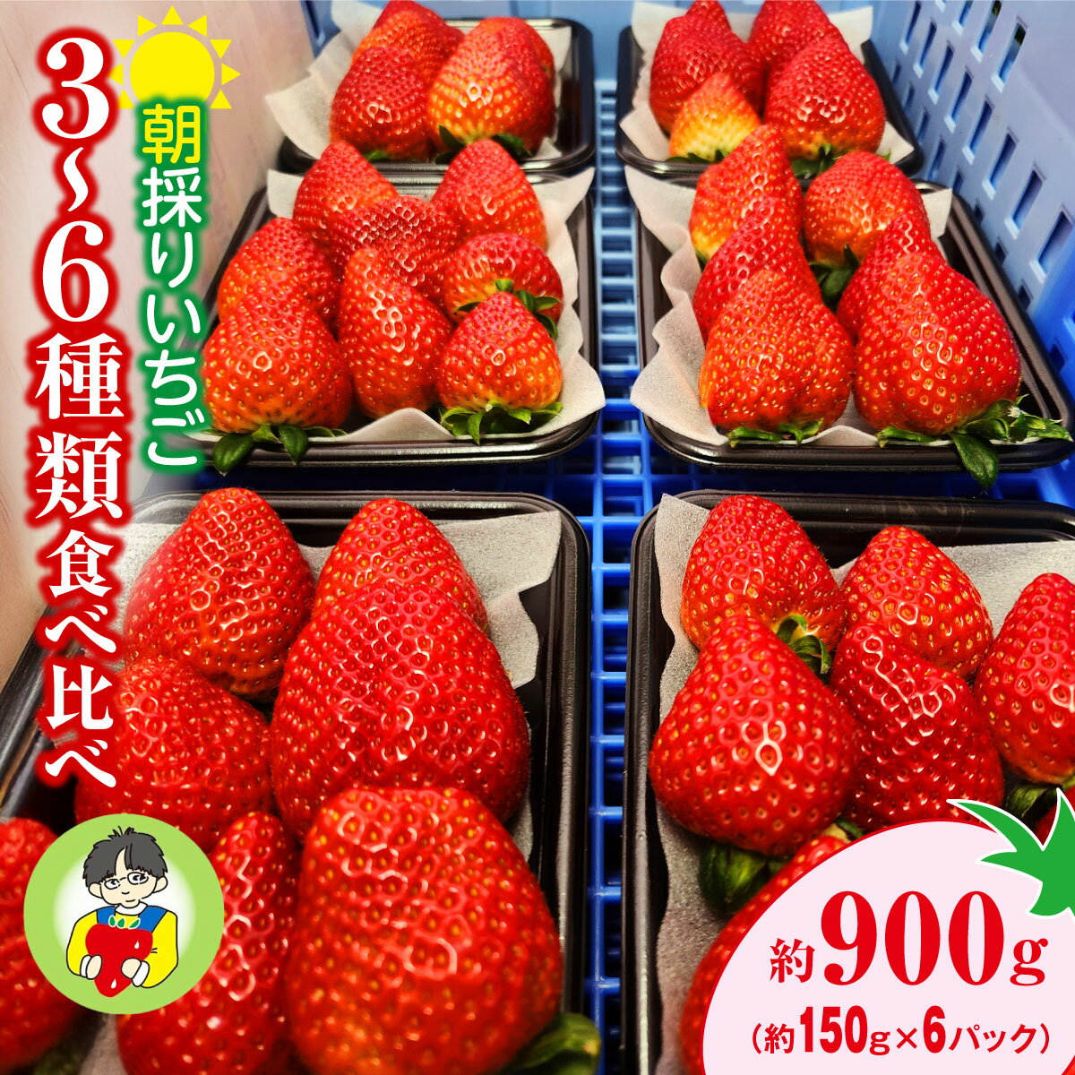 【ふるさと納税】＜2026年 先行予約＞いちご 食べ比べ 150g×6パック 900g｜コク 甘み 朝採れ やよいひめ ななか 恋みのり あまおとめ あすかルビー 贈答用 新鮮 完熟 いちご 旬 苺 産地直送 果汁 甘い 人気 高評価 減農薬 美容 健康 旨味 高糖度 ごほうび 群馬県 前橋市