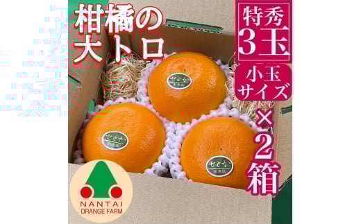 
お試し規格 柑橘の大トロ ハウス せとか 厳選 小玉 3玉入 手さげ箱 × 2箱 南泰園 和歌山 有田
