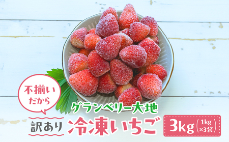 【訳あり】冷凍いちご　3kg (1kg×3袋)