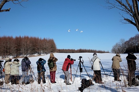 鶴居村モール温泉HOTEL TAITO宿泊券「1泊2食付　写真家和田正宏撮影ガイドプラン(1名様)」