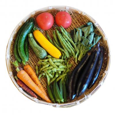 ふるさと納税 八尾市 【定期便】季節の厳選野菜詰め合わせセット(お届け回数:4回)(E158)