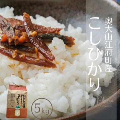 ふるさと納税 江府町 コシヒカリ 5kg 特別栽培米 鳥取県江府町産 こしひかり 精米 産地直送 5キロ 0931