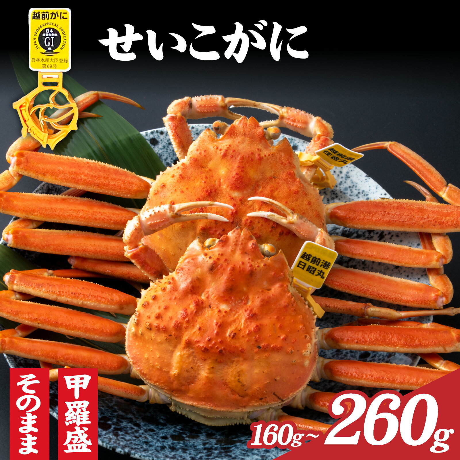 【ふるさと納税】【先行予約】美味しさ直送！ 【成前特選】 せいこがに 選べる容量、配送月、調理法 [C-028040] / 甲羅盛り 姿 福井県 福井市 カニ 茹で ゆで ボイル かにみそ 甲羅盛 越前ガニ ズワイガニ せいこ蟹 せこがに 香箱がに 香箱 香箱かに メス 雌 福井 冷蔵