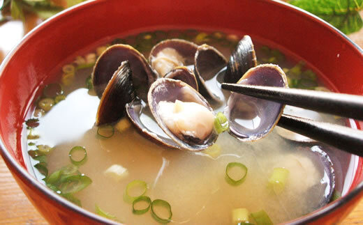 ＜網走湖産＞冷凍しじみ 2kg  ABE006 | しじみ シジミ しじみ シジミ しじみ シジミ しじみ シジミ しじみ シジミ しじみ シジミ しじみ シジミ しじみ シジミ しじみ シジミ しじ