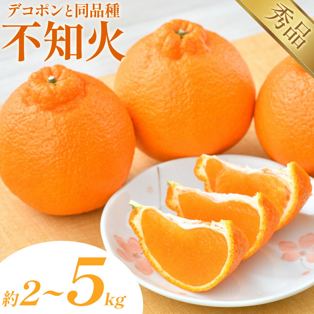 【ふるさと納税】不知火 デコポン 同品種 選べる 内容量 約2kg～約5kg 日本フルーツ株式会社 熊本県 荒尾市 《1月下旬～2月末頃に出荷予定（土日祝除く）》 デコポン 果物 秀品 フルーツ スイーツ デザート ギフト ご贈答