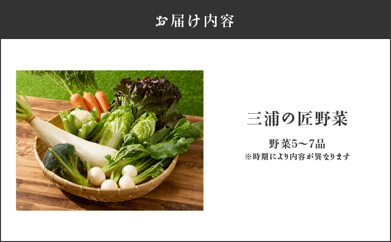 三浦の匠野菜　M127-001