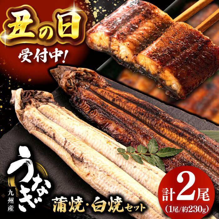 【ふるさと納税】【選べる発送月】 鹿児島産 うなぎ 2尾 蒲焼 ・ 白焼 食べ比べ セット （たれ付き） ▼ 国産 ウナギ 特大 蒲焼き 特大 丑の日 食べ比べ 白焼き 桂川町/山水商事[ADAH007]