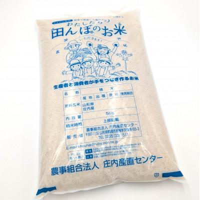 ふるさと納税 鶴岡市 鶴岡 I 型特別栽培つや姫　白米5kg |  | 02