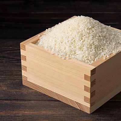 ふるさと納税 大館市 【令和7年産】ズッパーサン精米5kg(5kg×1袋) |  | 02