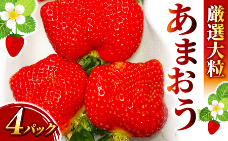 【先行予約】2027年2-4月下旬発送 大粒いちご4P | いちご あまおう BGF