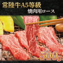 【ふるさと納税】常陸牛A5等級　焼肉用500g（ロース）（AC008）