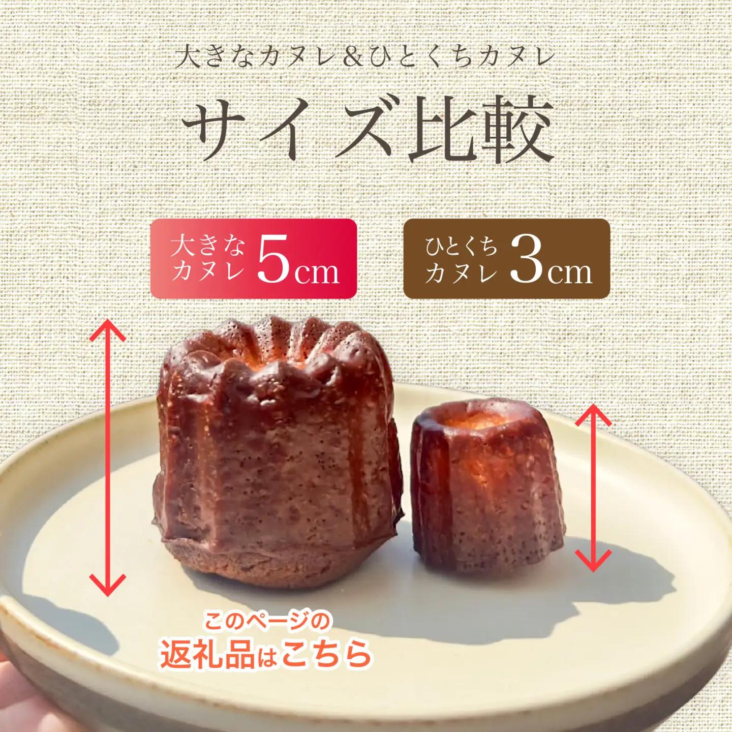 【Penheur】【 訳あり 簡易包装 】大きなカヌレ 9個入り｜ カヌレ 焼き菓子 