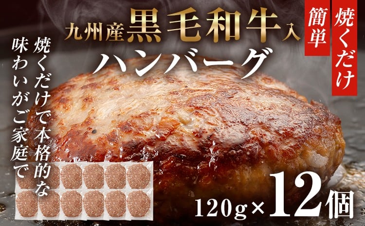 
                  九州産黒毛和牛入ハンバーグ ハンバーグ 肉 牛肉 豚肉 120g×12個入 個包装 焼くだけ 黒毛和牛 九州産 贅沢 本格 お店の味 和牛 牛 豚 冷凍 おかず お弁当 簡単調理 お肉 惣菜 ジューシー アレンジ
                
