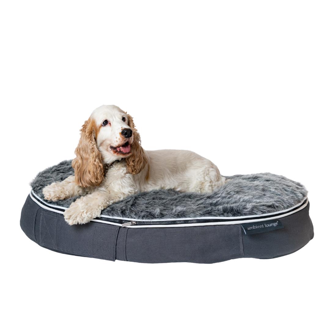 
                  【アンビエントラウンジジャパン】犬ペットラウンジ Low グレー・ウルフグレー（Mサイズ）※体重25㎏未満の中型犬向け 犬用 中型犬 ベッド ペットベット 洗える カバー
                