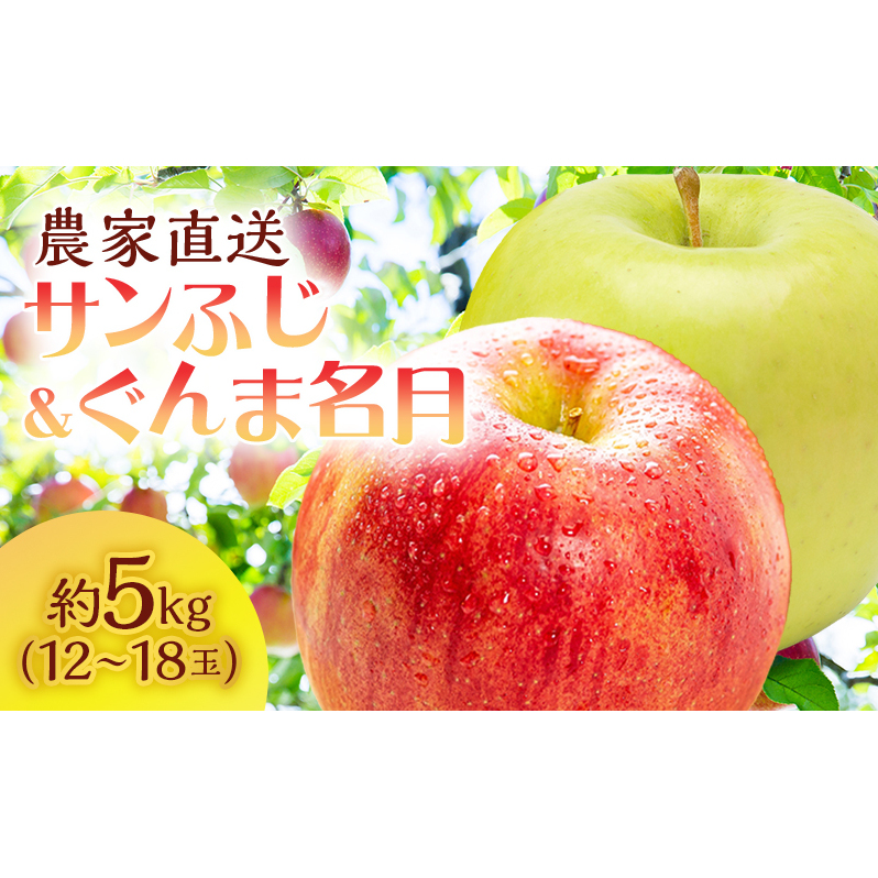 りんご 青森 サンふじ ぐんま名月 約 5kg (12～18玉) リンゴ 詰め合わせ セット サイキチ農園 食べ比べ 青森県 鰺ヶ沢町産 フルーツ 果物 白神山地 果物類 林檎 サンフジ ふじ