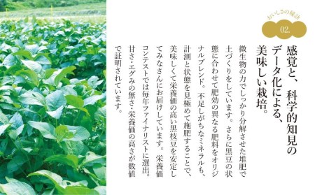 ※予約受付中！※　2026年10月以降発送　丹波篠山産　有機黒枝豆　たっぷり２ｋｇ　(1ｋｇ×２袋） BF06 プレミアム枝豆 日本三大枝豆　丹波篠山黒枝豆 大粒 丹波 黒豆 丹波黒 黒大豆 濃厚 美